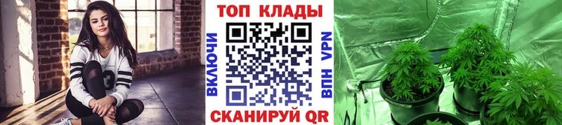 Наркошоп купить Конопля АМФЕТАМИН ГАШИШ Меф Тверь