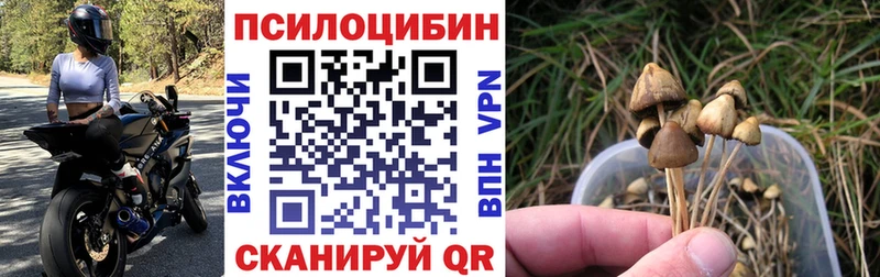 Галлюциногенные грибы MAGIC MUSHROOMS Тверь